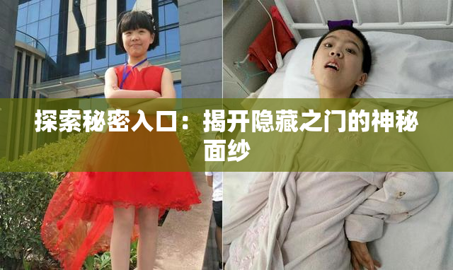 探索秘密入口：揭开隐藏之门的神秘面纱