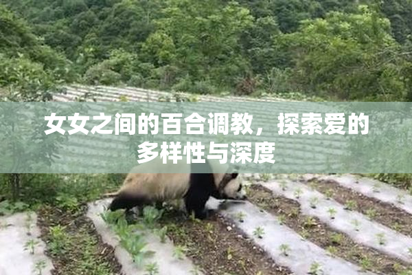 女女之间的百合调教，探索爱的多样性与深度