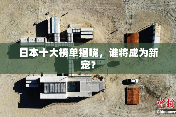 日本十大榜单揭晓，谁将成为新宠？