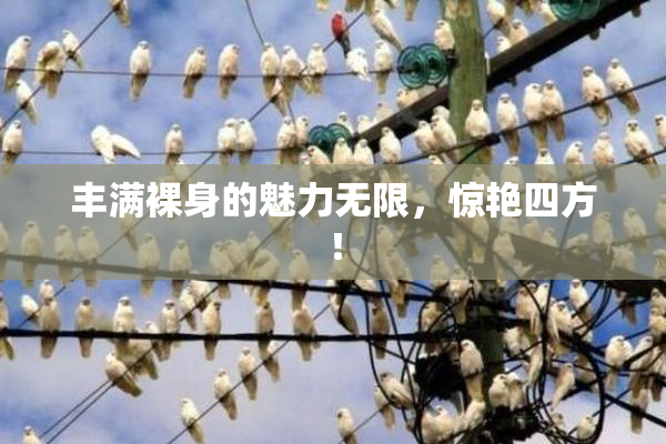 丰满裸身的魅力无限，惊艳四方！