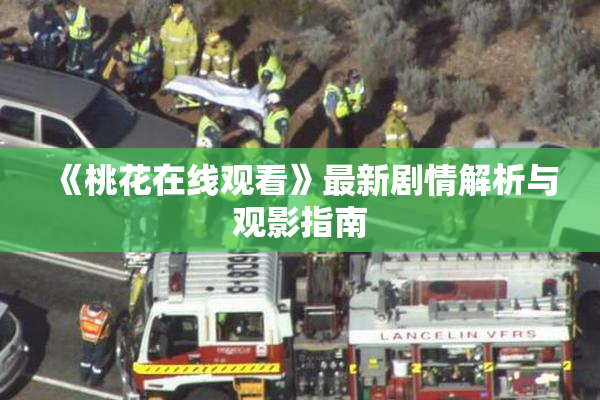 《桃花在线观看》最新剧情解析与观影指南