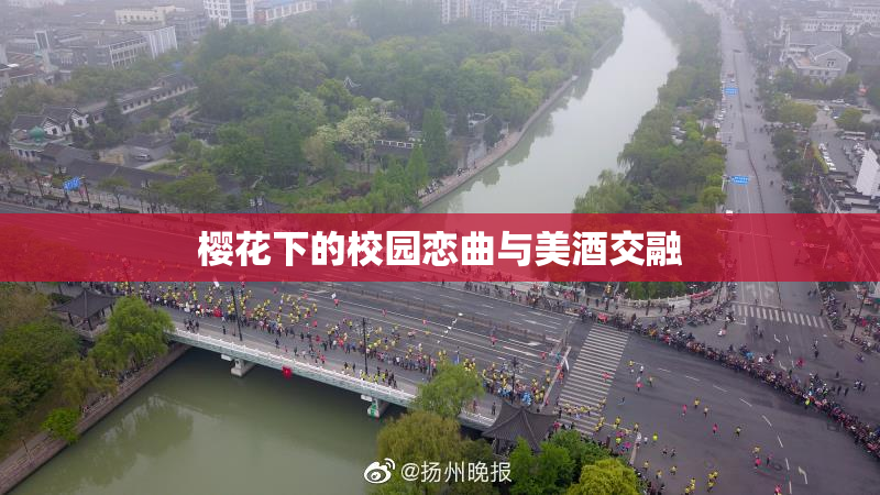 樱花下的校园恋曲与美酒交融