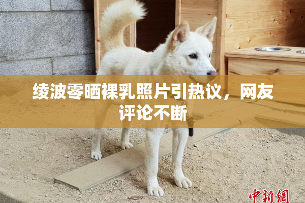 绫波零晒裸乳照片引热议，网友评论不断