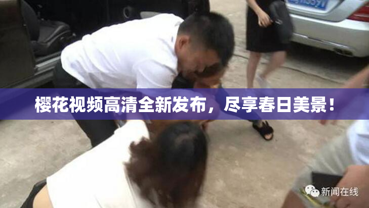 樱花视频高清全新发布，尽享春日美景！
