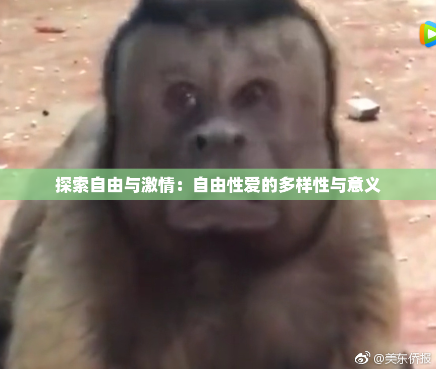 探索自由与激情：自由性爱的多样性与意义
