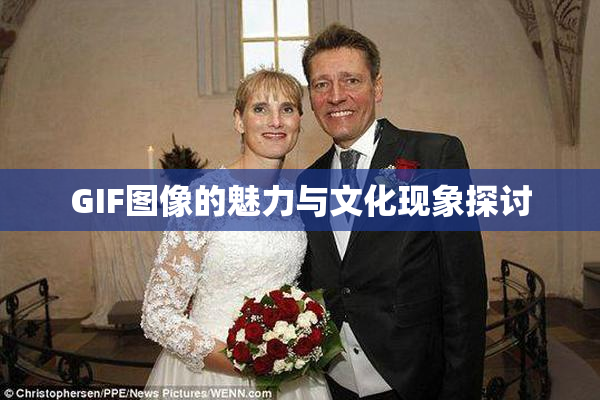 GIF图像的魅力与文化现象探讨