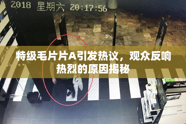 特级毛片片A引发热议，观众反响热烈的原因揭秘