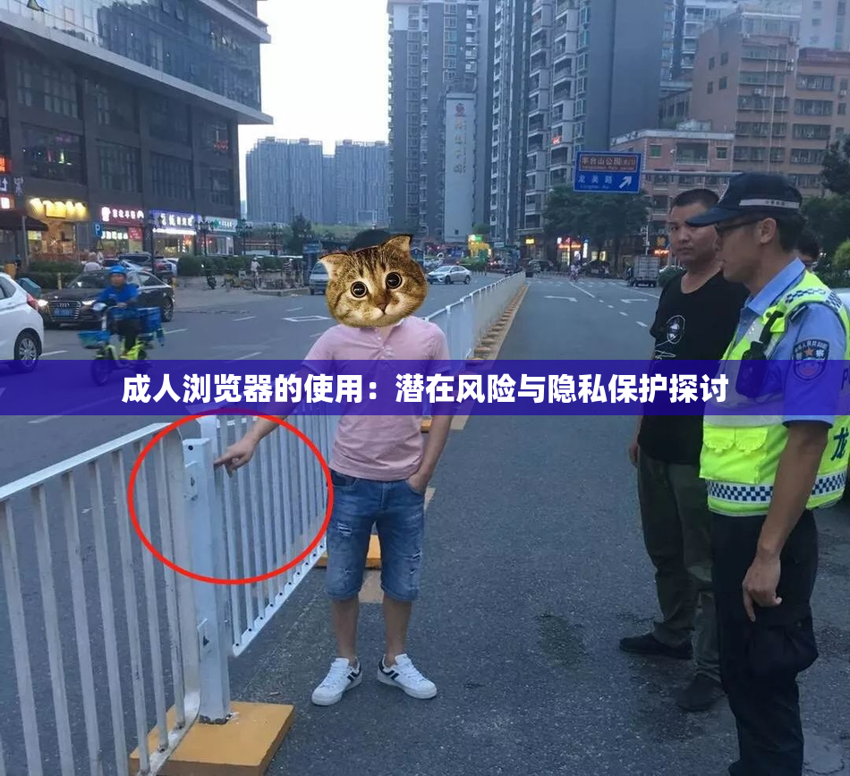 成人浏览器的使用：潜在风险与隐私保护探讨