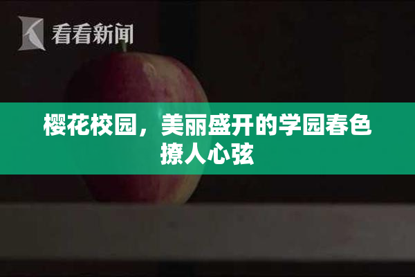 樱花校园，美丽盛开的学园春色撩人心弦