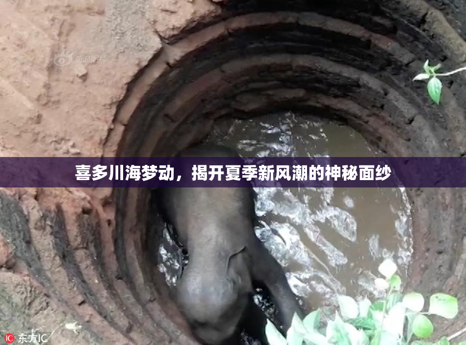 喜多川海梦动，揭开夏季新风潮的神秘面纱