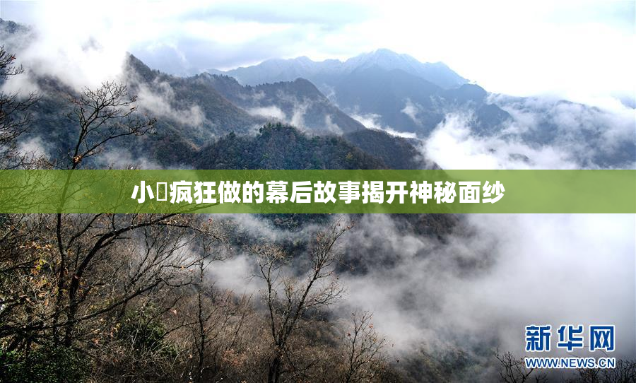 小泬疯狂做的幕后故事揭开神秘面纱