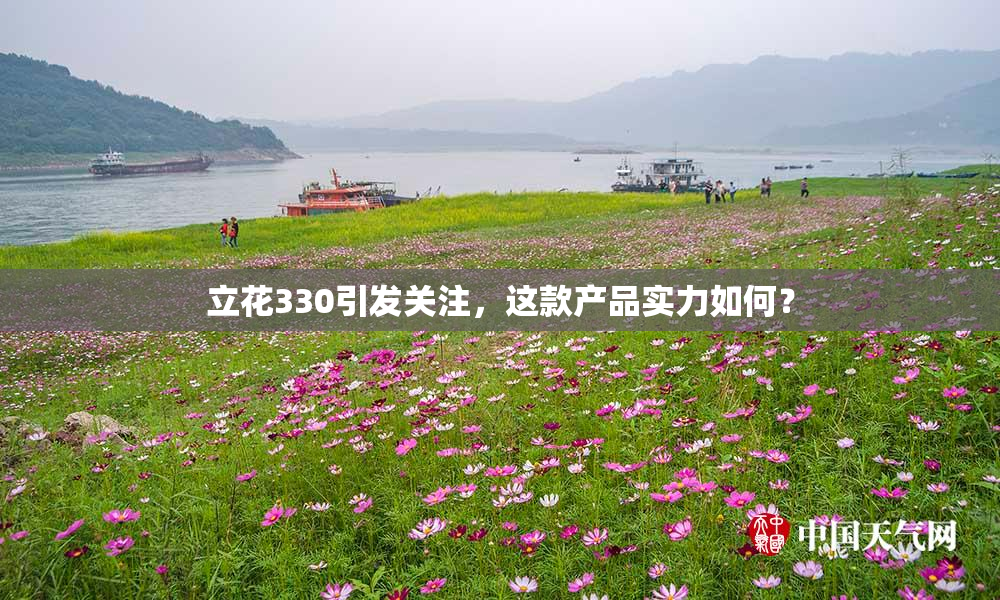立花330引发关注，这款产品实力如何？