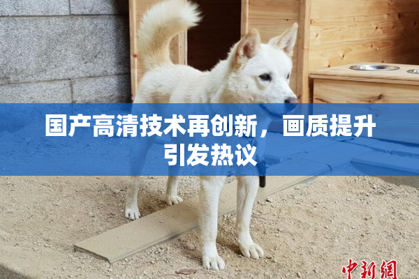 国产高清技术再创新，画质提升引发热议