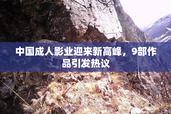 中国成人影业迎来新高峰，9部作品引发热议