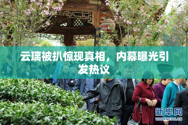 云璃被扒惊现真相，内幕曝光引发热议