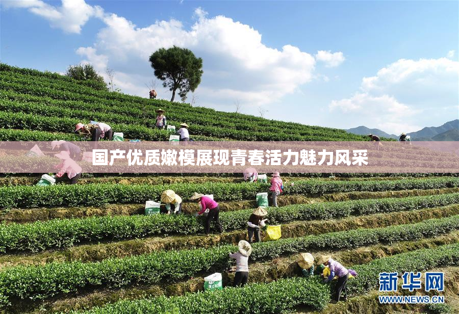 国产优质嫩模展现青春活力魅力风采