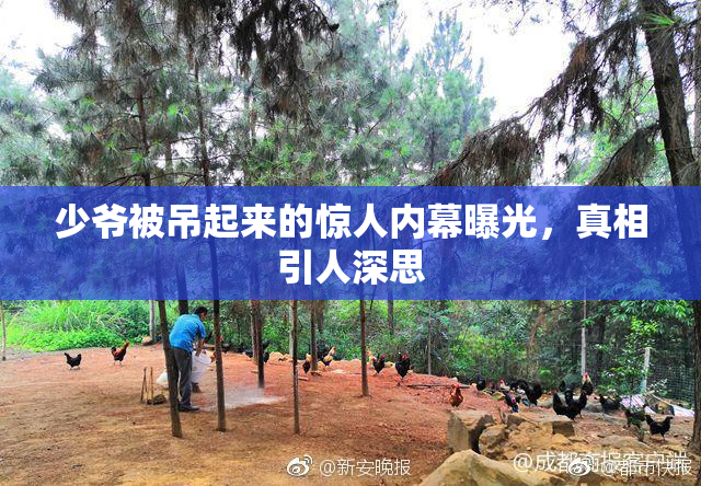 少爷被吊起来的惊人内幕曝光，真相引人深思