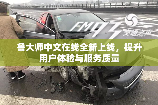 鲁大师中文在线全新上线，提升用户体验与服务质量