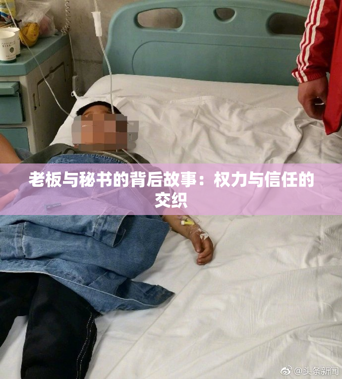 老板与秘书的背后故事：权力与信任的交织