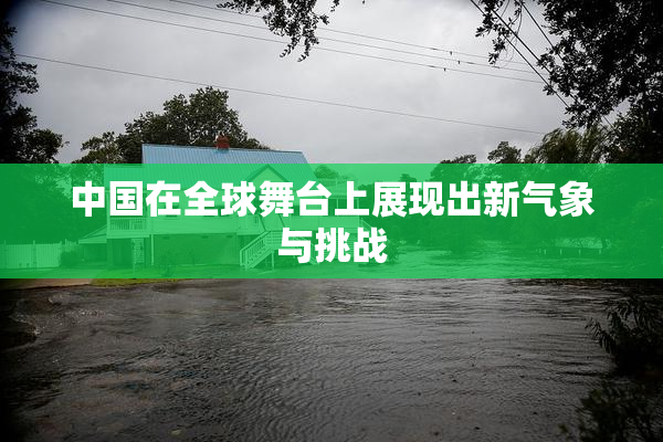 中国在全球舞台上展现出新气象与挑战