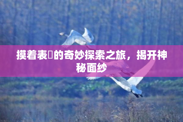 摸着表妺的奇妙探索之旅，揭开神秘面纱