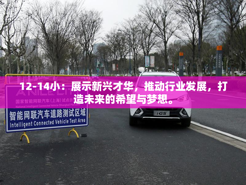 12-14小：展示新兴才华，推动行业发展，打造未来的希望与梦想。