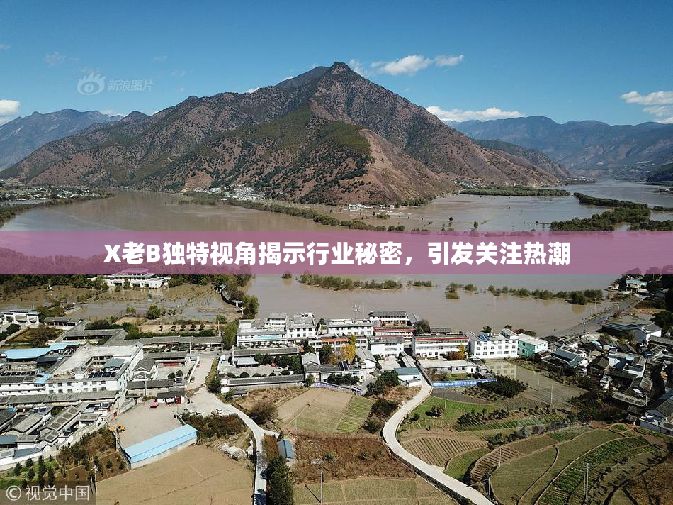 X老B独特视角揭示行业秘密，引发关注热潮