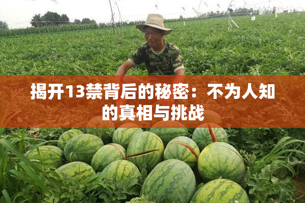 揭开13禁背后的秘密：不为人知的真相与挑战