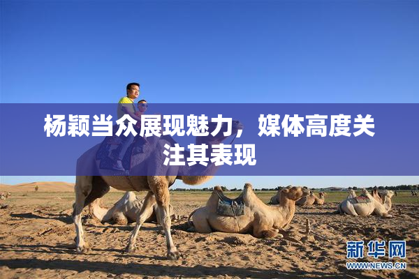 杨颖当众展现魅力，媒体高度关注其表现