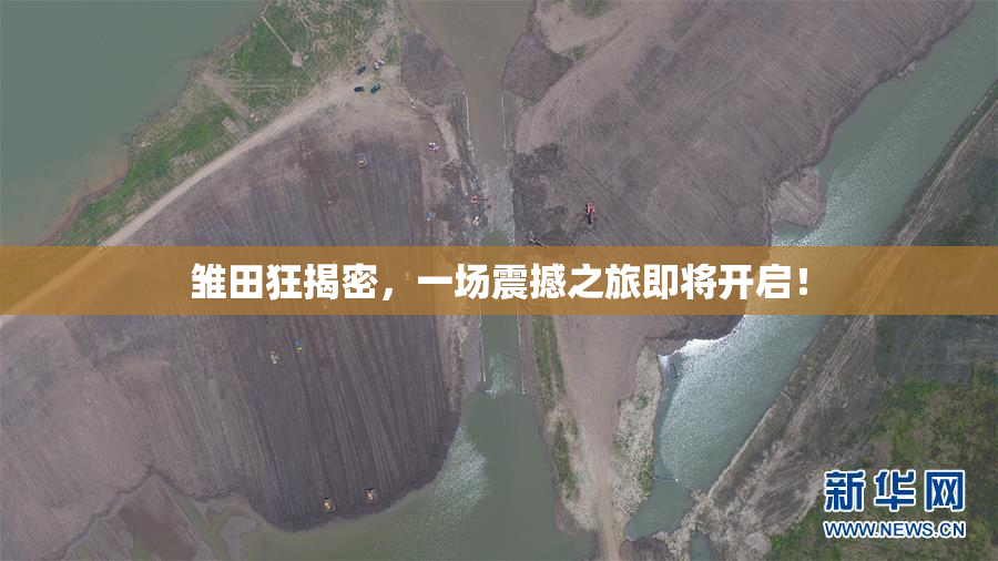 雏田狂揭密，一场震撼之旅即将开启！