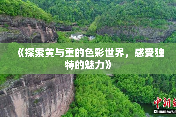 《探索黄与重的色彩世界，感受独特的魅力》