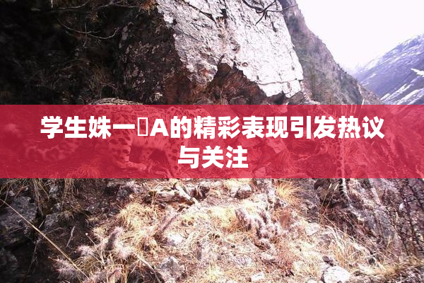 学生姝一﨤A的精彩表现引发热议与关注