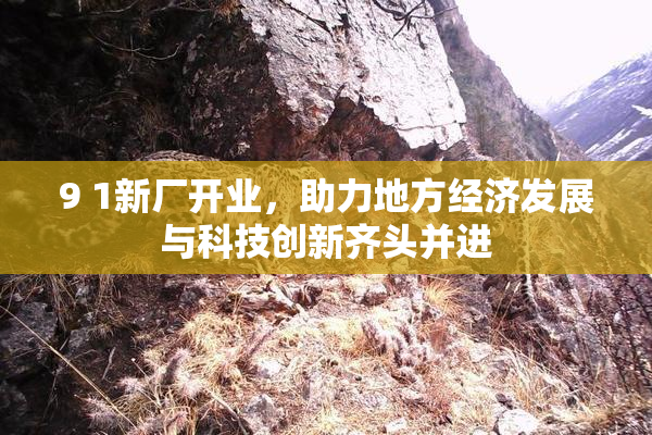 9 1新厂开业，助力地方经济发展与科技创新齐头并进