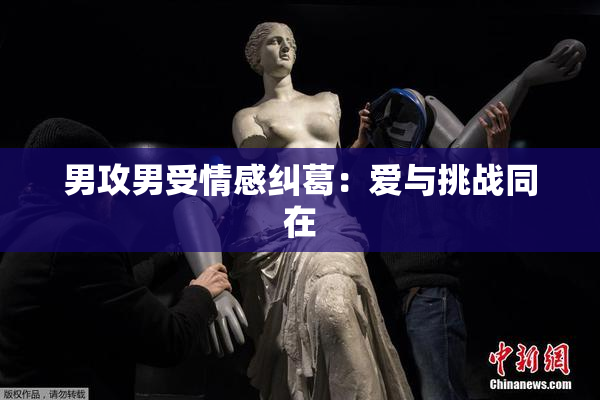 男攻男受情感纠葛：爱与挑战同在