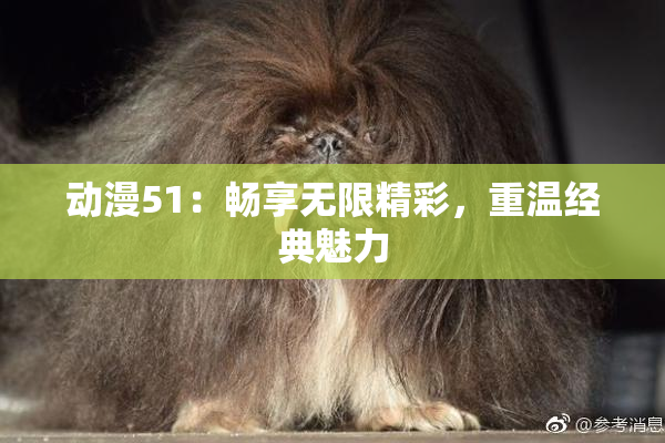 动漫51：畅享无限精彩，重温经典魅力