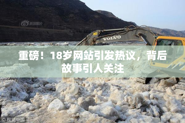 重磅！18岁网站引发热议，背后故事引人关注