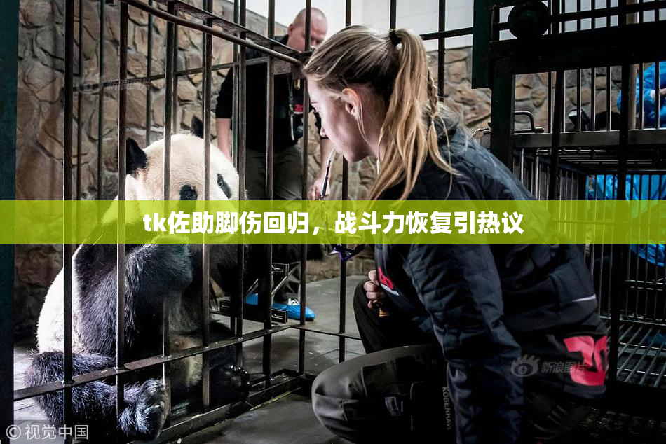 tk佐助脚伤回归，战斗力恢复引热议