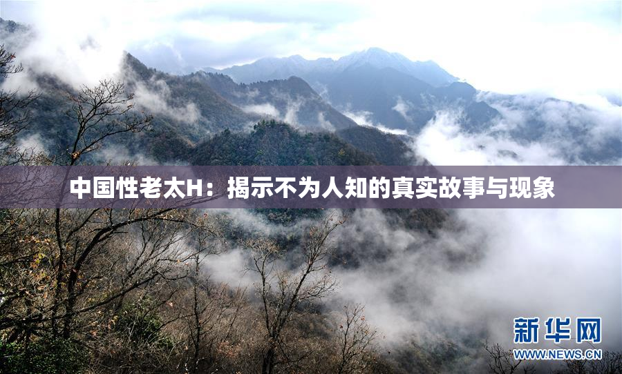 中国性老太H：揭示不为人知的真实故事与现象