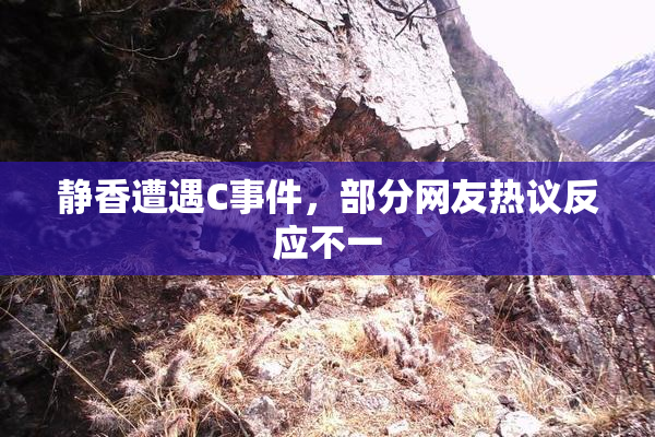静香遭遇C事件，部分网友热议反应不一