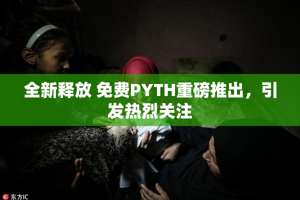 全新释放 免费PYTH重磅推出，引发热烈关注