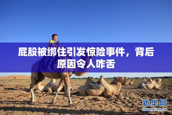 屁股被绑住引发惊险事件，背后原因令人咋舌