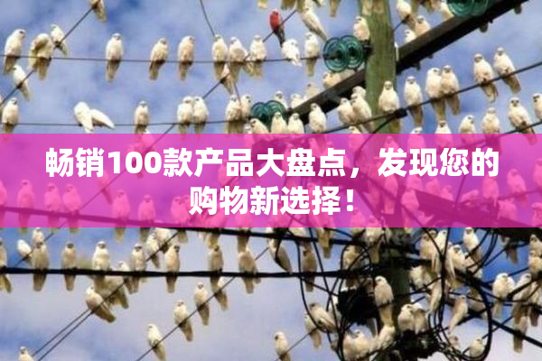 畅销100款产品大盘点，发现您的购物新选择！