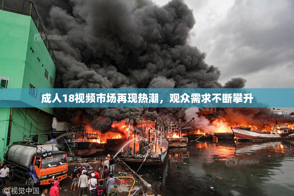 成人18视频市场再现热潮，观众需求不断攀升