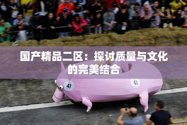 国产精品二区：探讨质量与文化的完美结合