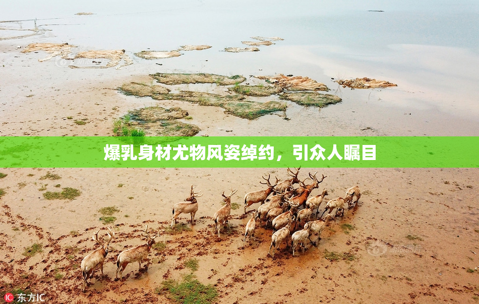 爆乳身材尤物风姿绰约，引众人瞩目