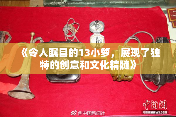 《令人瞩目的13小箩，展现了独特的创意和文化精髓》