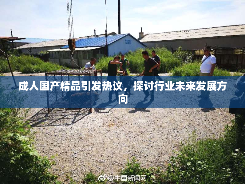 成人国产精品引发热议，探讨行业未来发展方向