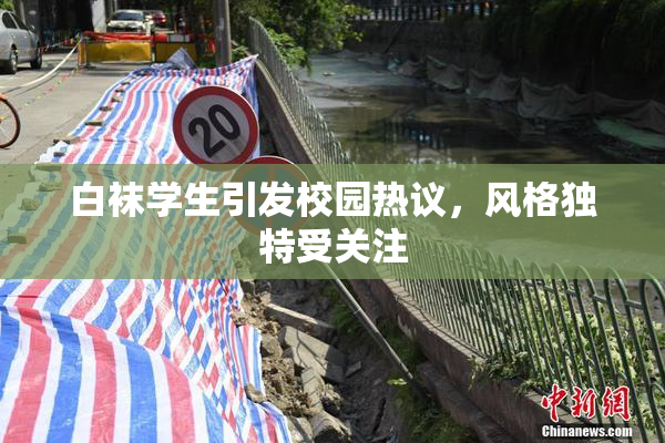 白袜学生引发校园热议，风格独特受关注
