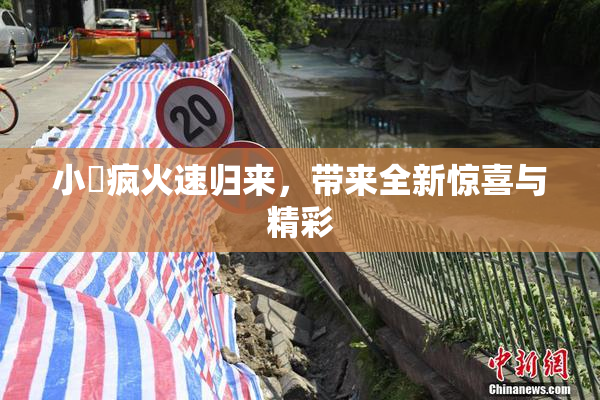 小泬疯火速归来，带来全新惊喜与精彩