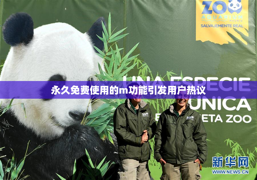 永久免费使用的m功能引发用户热议